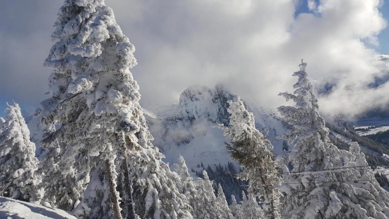 Alpenchalet Vils Tirol Zewnętrze zdjęcie